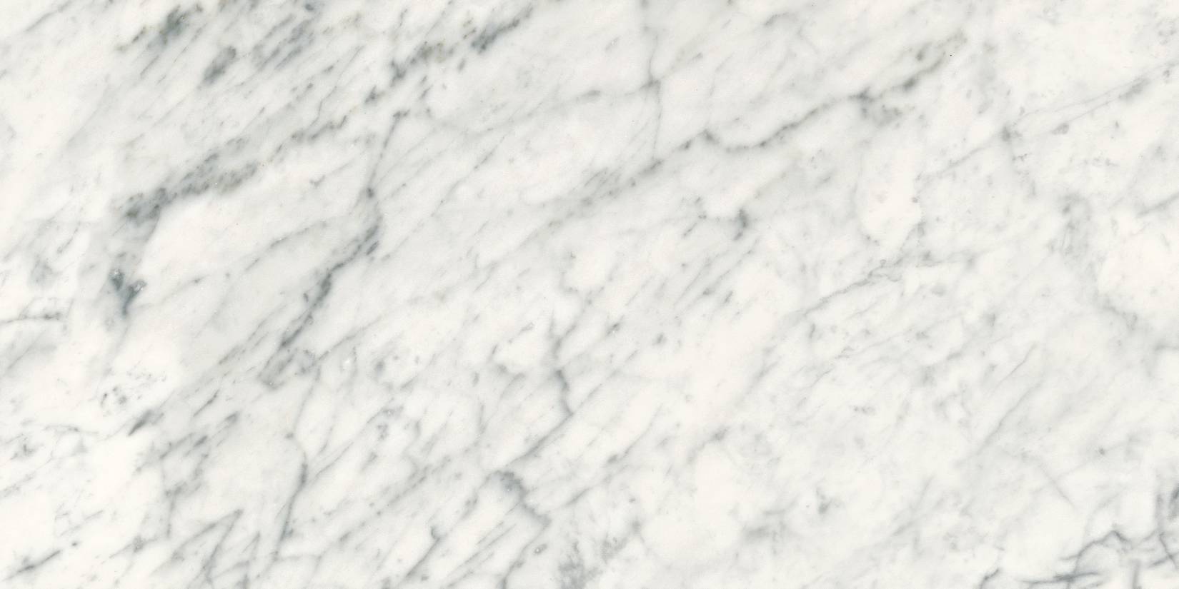 Michelangelo Extra White