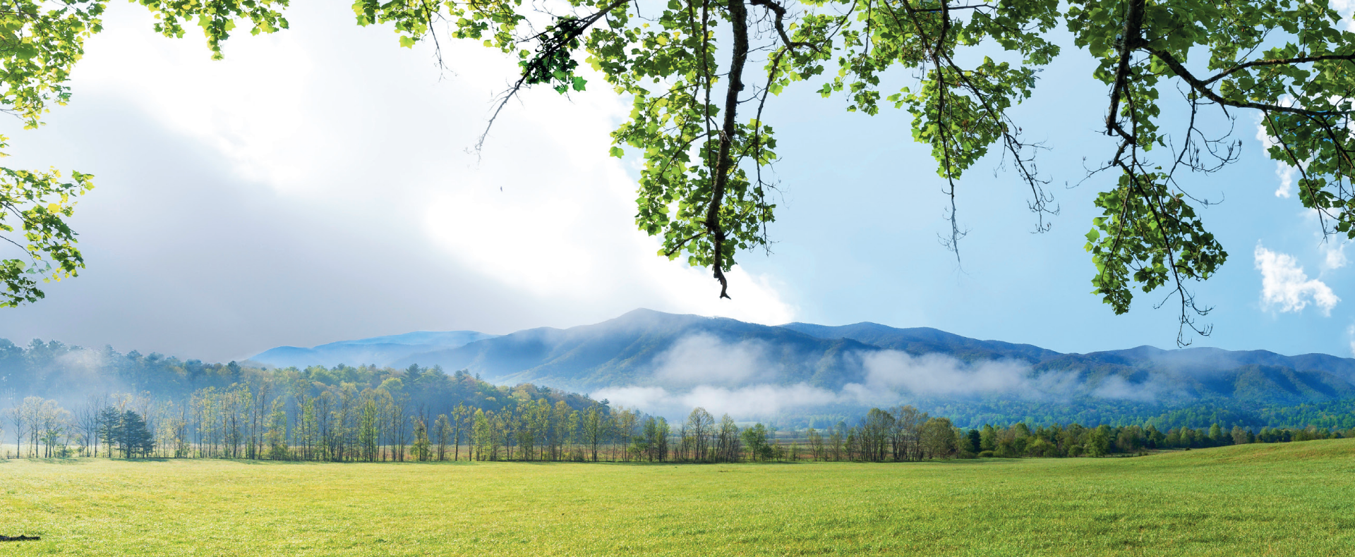 Respect for the environment.