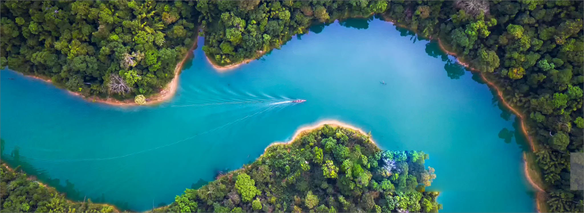 Sustainability & Environment.